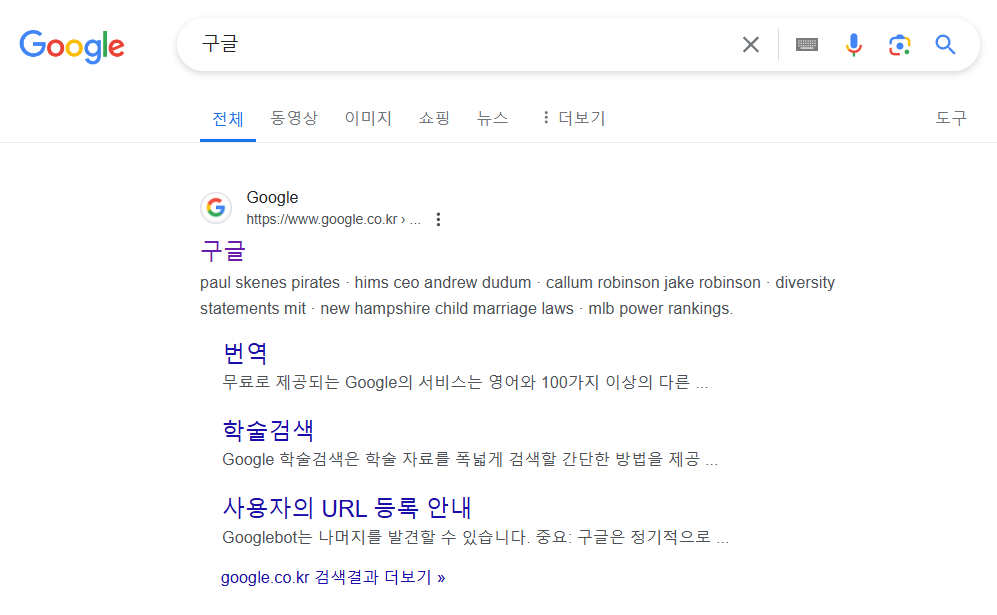구글 크롬 다크모드 설정 방법 - 구글 검색